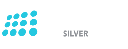 nopCommerce silver partner